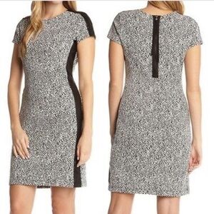 Karen Kane Jacquard Euro Stretch Knit Dress